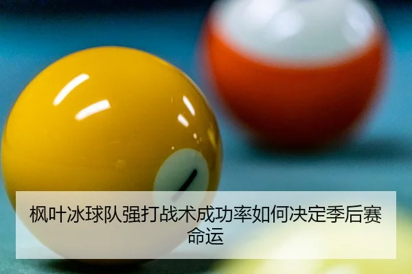 枫叶冰球队强打战术成功率如何决定季后赛命运
